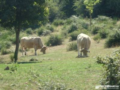 Parque Natural Sierra de Cebollera - Tierra de Cameros;multiaventura en cercedilla senderismo aigues